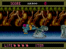 splatterhouse on turbografx